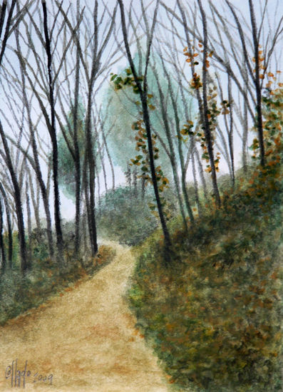 The trail Watercolour Paper Landscaping