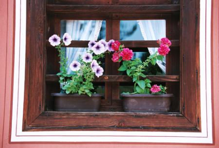 LA VENTANA DEL AMOR 