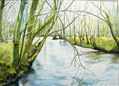 Rio Tambre