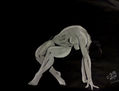 PASSION FOR THE DANCE