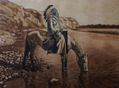 Blackfoot chief.