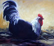 Rooster