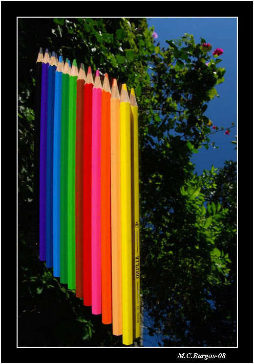La Magia de los Colores