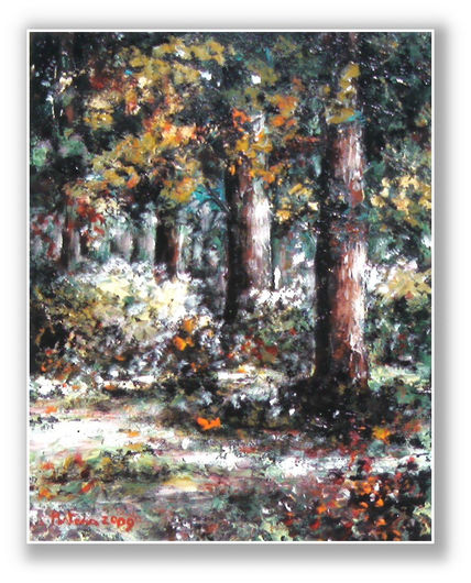 Paths in the forest
