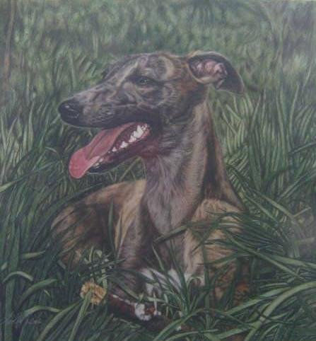Little red Baron,  my dear dog.