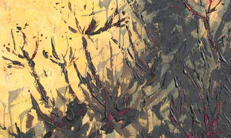SERIE TEXTURAS