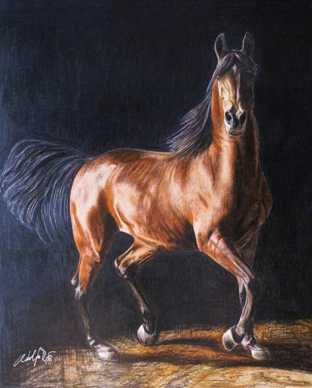 Chestnut horse. Lápiz