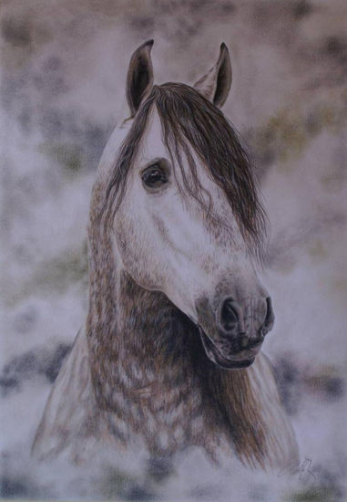 Road gray horse. Pencil (coloured) Paper Animals