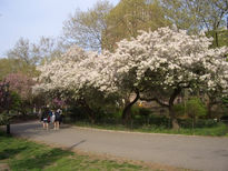 Caminata en Primavera