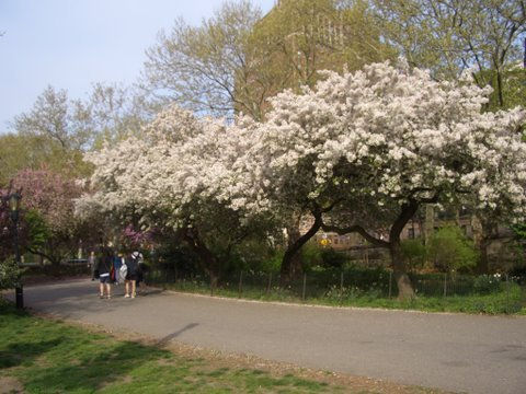 Caminata en Primavera 