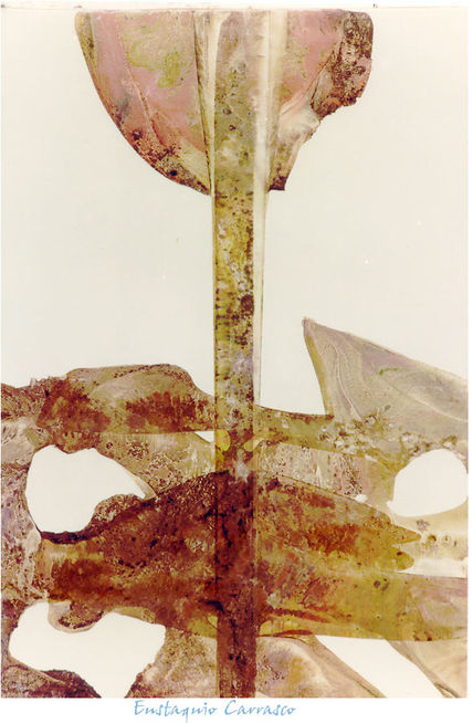 Corpus petreus