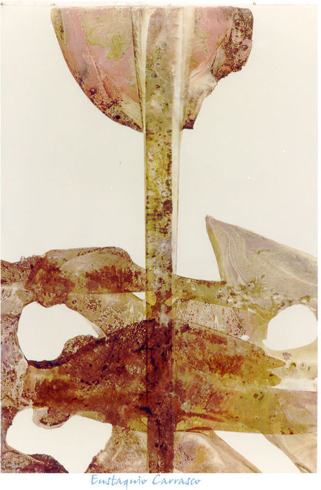 Corpus petreus