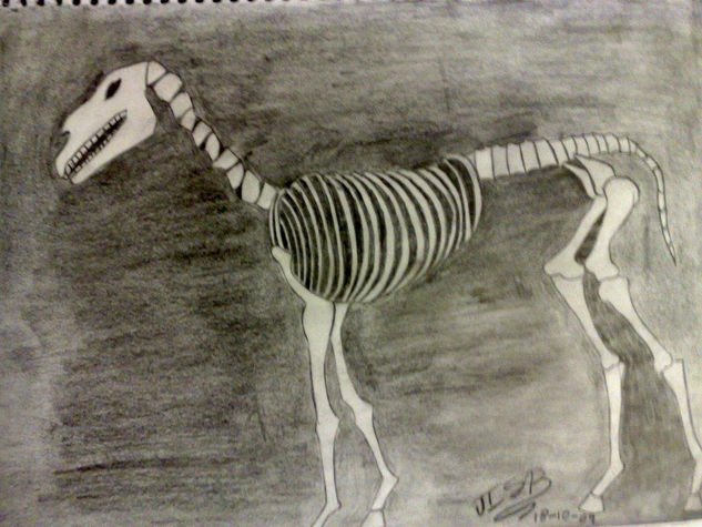 HORSE SKELETON 