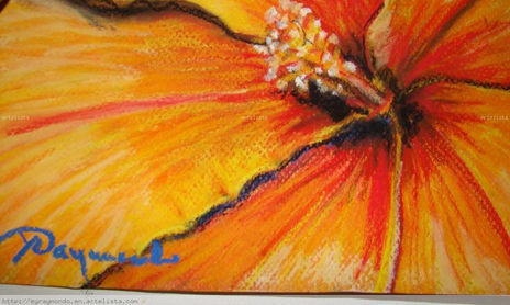 FLOWERS of PANAMA