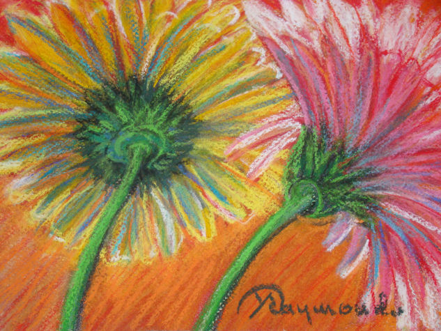 Pink and Yellow Daisies 