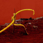INSTALACÃO / INSTALATION thumbnail 2