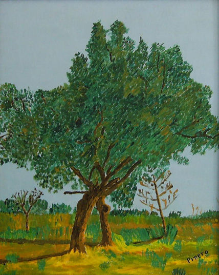 Quercus