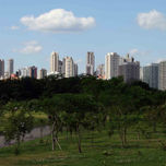 SAO PAULO CITY thumbnail 1