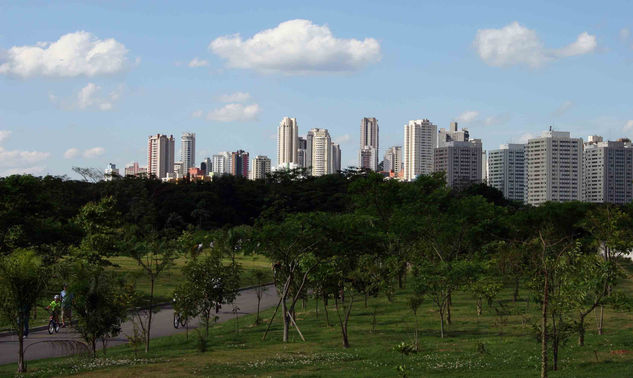 POSTCARD of the city from Sao Paulo 2009 Park Villa-Lobos Travel Color (Digital)