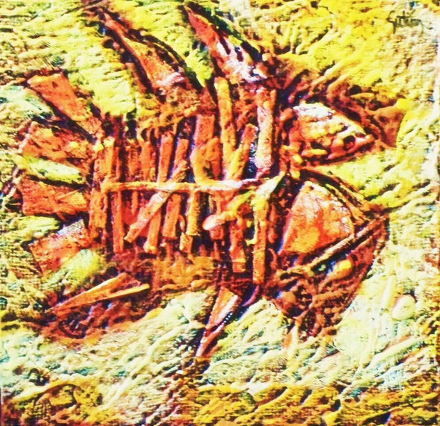 From the Spirit's Ocean: "Fossil Fish"
