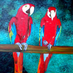 Animals thumbnail 1