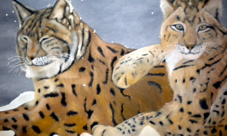Animals