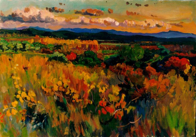 Atardecer Oil Canvas Landscaping