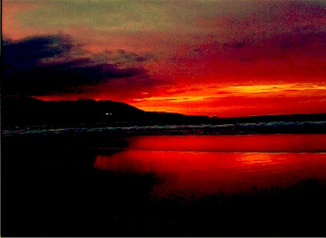 lANDSCAPE COLORS