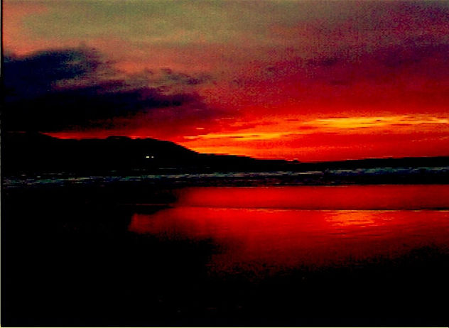 lANDSCAPE COLORS