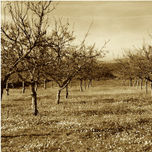 PHOTOGRAPHY thumbnail 2