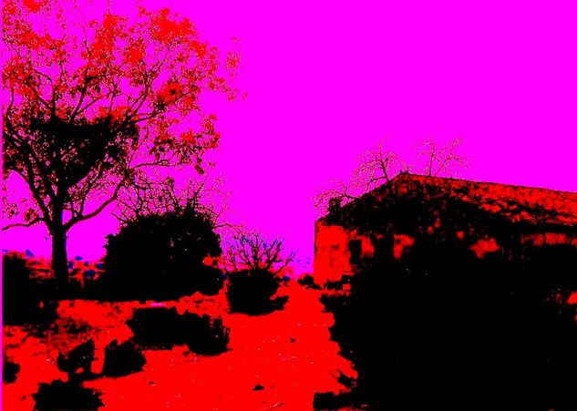 LANDSCAPE COLORS Nature Color (Digital)