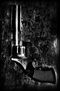 Gun