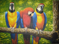 Guacamayas