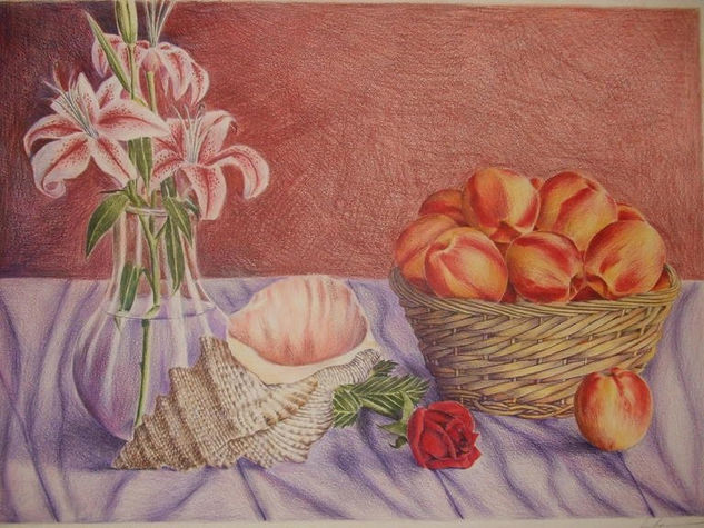 Still life with shell 