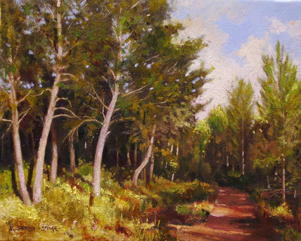 Camino entre pinos...
