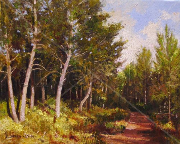 Camino entre pinos / Road between pine trees Oil Canvas Landscaping