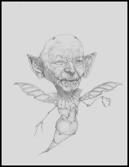 Insectopia 1