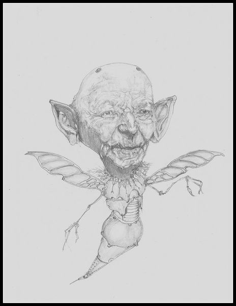 Insectopia 1