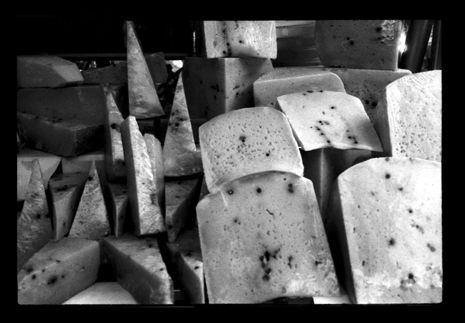 Queso Still lifes Black and White (Manual)