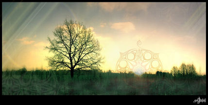 Dawn tree