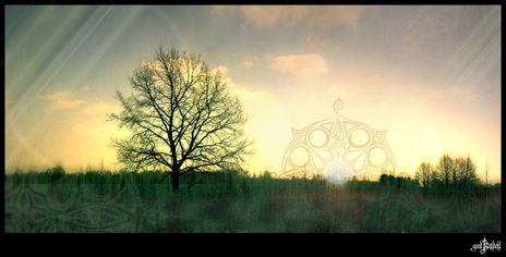 Dawn tree