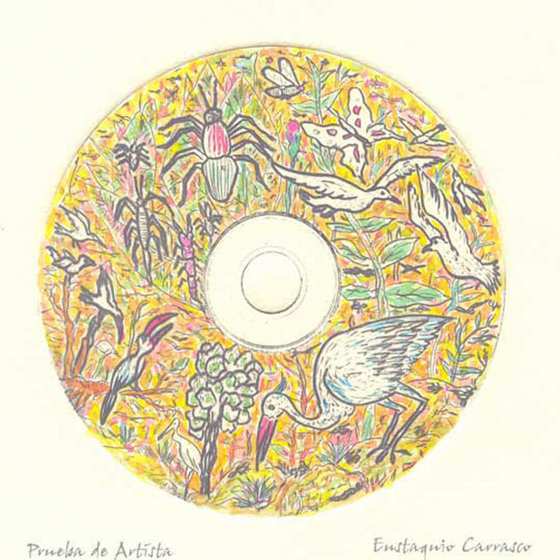 Insectos y aves entre plantas
