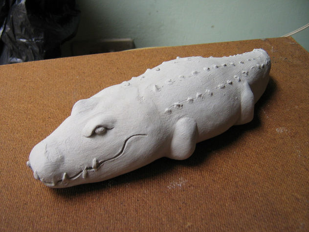 caiman