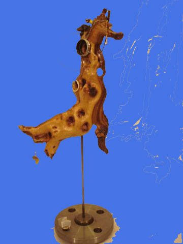 Girafricamara