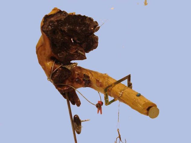 HOLLOW BUFFALO LEG