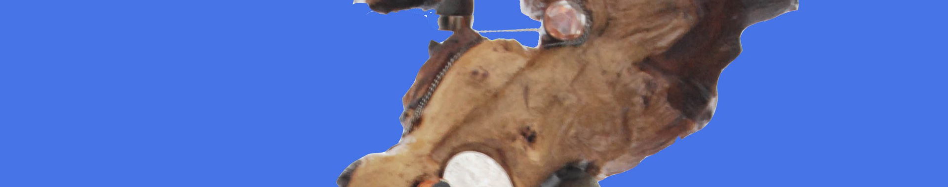 Imagen de portada