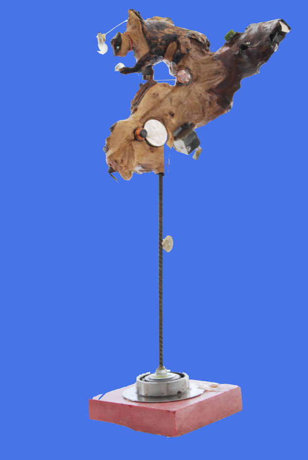 FROZEN IN TIME I CAN'T SEE THE HAZELNUT-The groundhog from Punxstawnwey "Pansatoni"