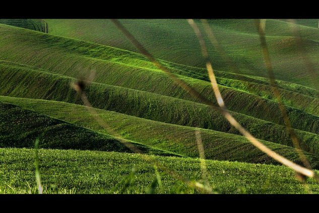 the green sea Naturaleza Color (Digital)