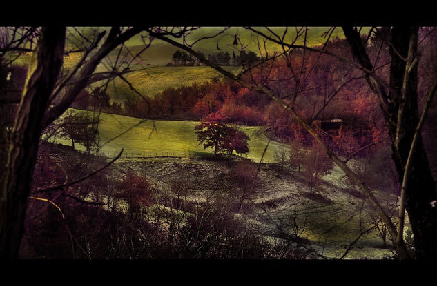 the sun is getting up Nature Color (Digital)