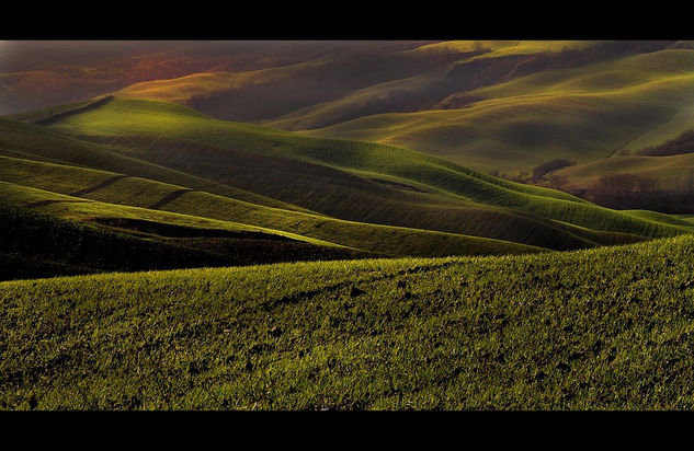 Carpet of grass Naturaleza Color (Digital)